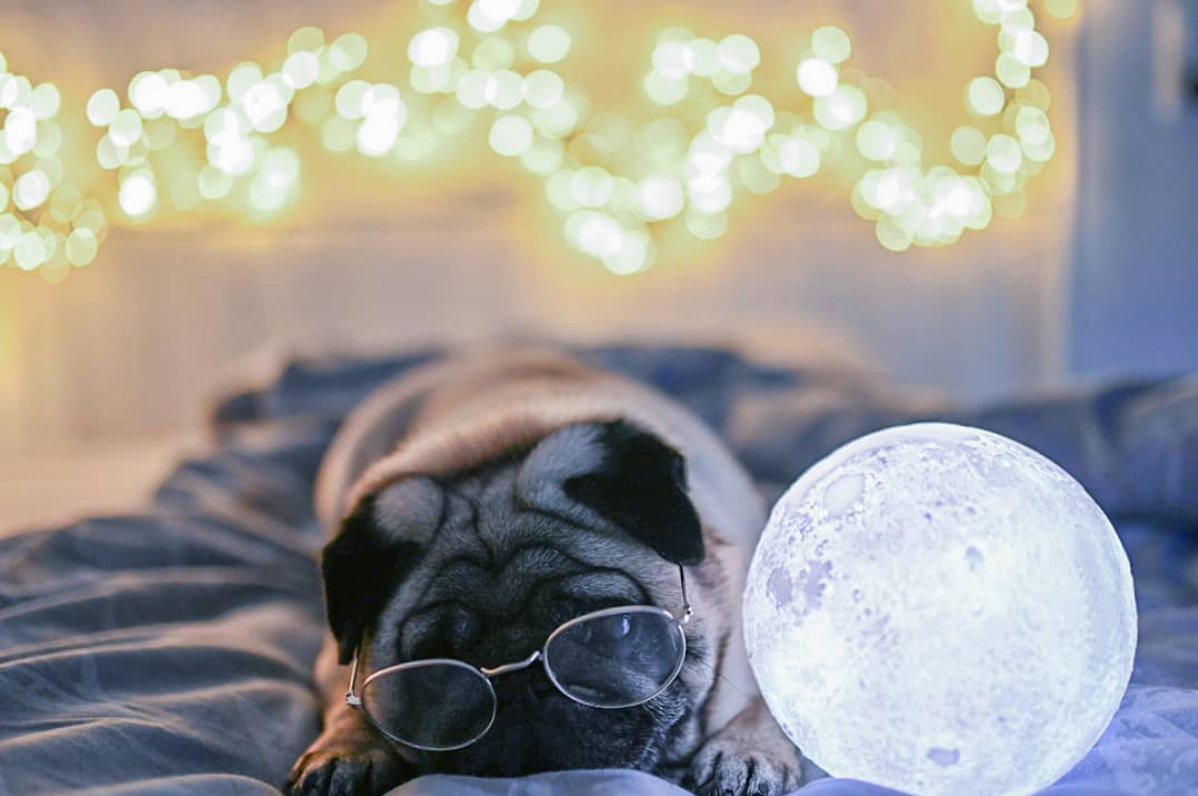 Original Moon Lamp